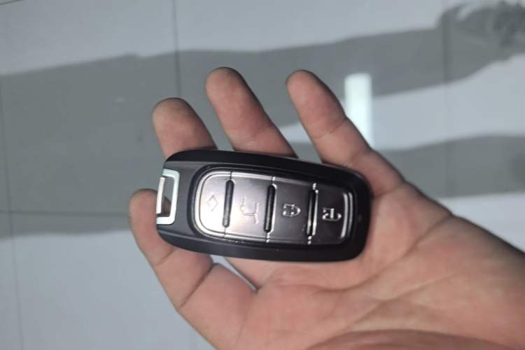Used Tank 300 2021 Off-Road Edition 2.0T Conqueror Vehicle Key