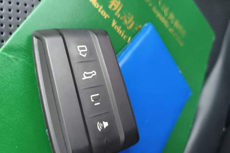Used Tank 300 2021 City Edition 2.0T—Truly Stylish Vehicle Key