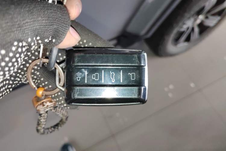 Used Tank 300 2021 City Edition 2.0T—Truly Stylish Vehicle Key