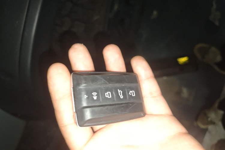 Used Tank 300 2021 2.0T Tank Ranger Vehicle Key