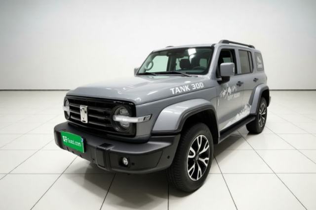 Used Tank 300 2021 City Edition 2.0T—Truly Stylish