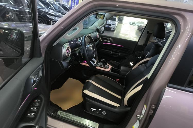 Used Tank 300 2021 City Edition 2.0T—Truly Stylish Driver Seat