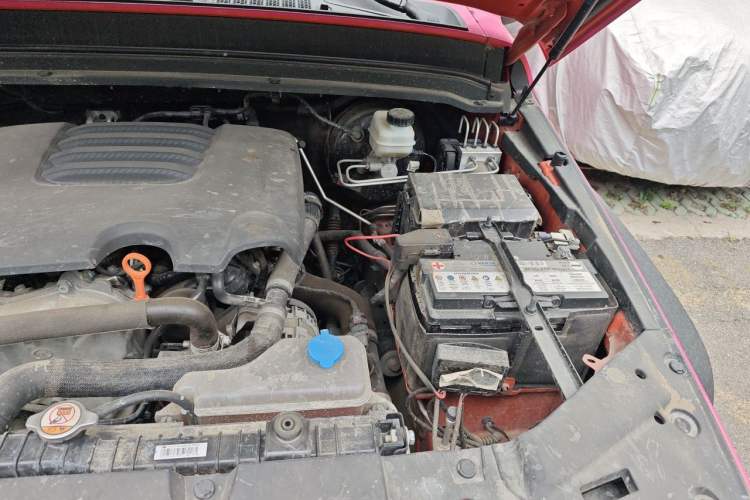 Used Tank 300 2021 Off-Road Edition 2.0T Conqueror Engine Bay Left