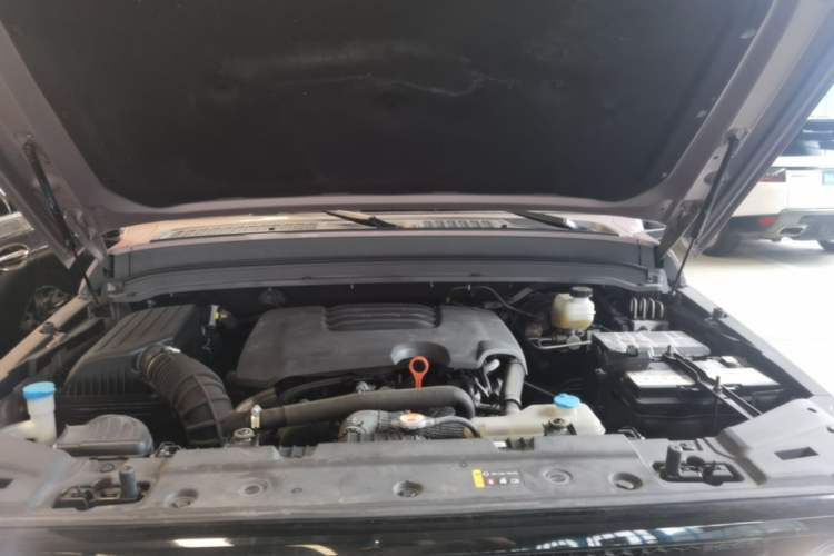 Used Tank 300 2021 City Edition 2.0T—Truly Stylish Engine Bay