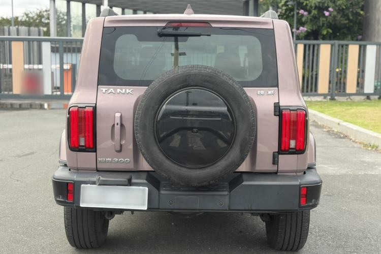 Used Tank 300 2021 City Edition 2.0T—Truly Stylish Exterior 1