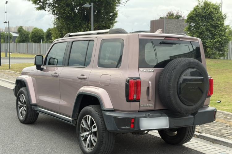 Used Tank 300 2021 City Edition 2.0T—Truly Stylish Exterior 3