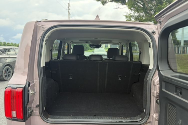 Used Tank 300 2021 City Edition 2.0T—Truly Stylish Exterior 4