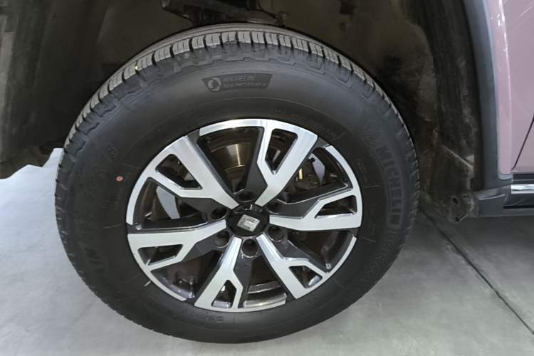 Used Tank 300 2021 City Edition 2.0T—Truly Stylish Exterior 4