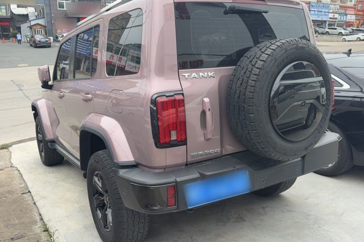 Used Tank 300 2021 City Edition 2.0T My Vision Model Exterior 5