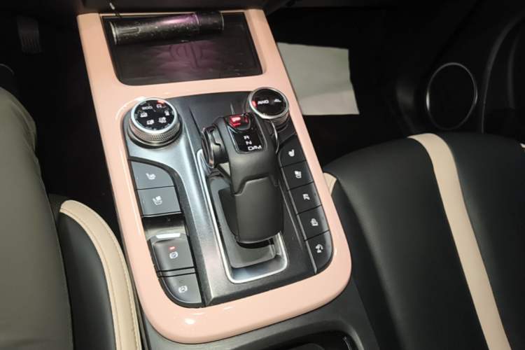 Used Tank 300 2021 City Edition 2.0T—Truly Stylish Gear Lever