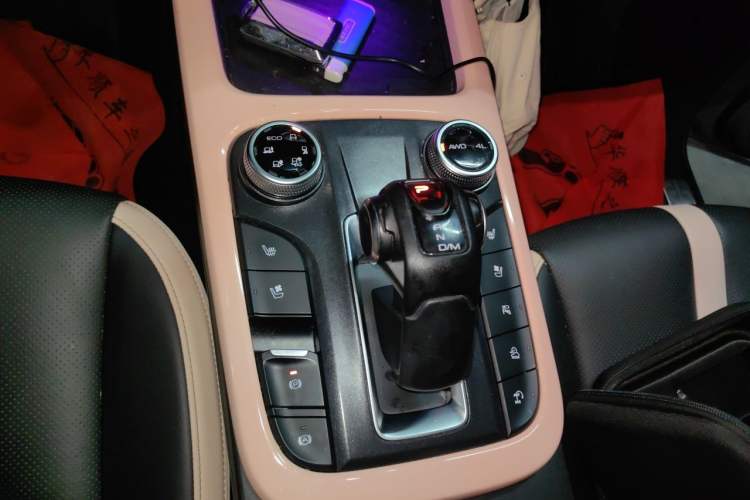 Used Tank 300 2021 City Edition 2.0T—Truly Stylish Gear Lever