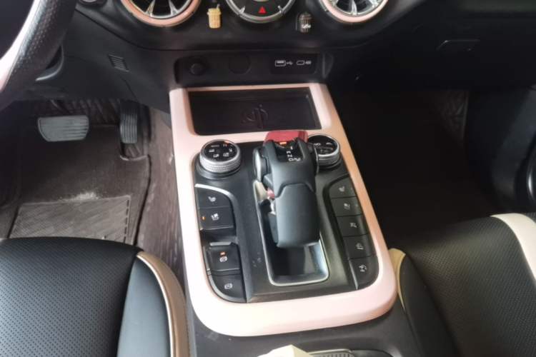 Used Tank 300 2021 City Edition 2.0T—Truly Stylish Gear Lever