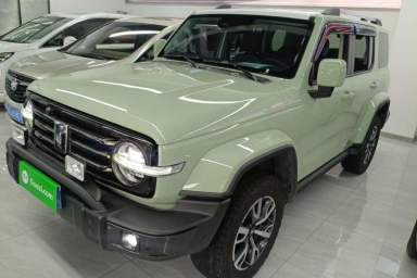 Used Tank 300 2021 City Edition 2.0T—Truly Stylish