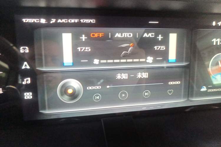 Used Tank 300 2021 Off-Road Edition 2.0T Conqueror Audio And AC Panel