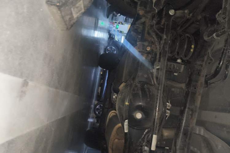 Used Tank 300 2021 City Edition 2.0T—Truly Stylish Chassis Rear