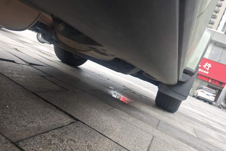 Used Tank 300 2021 City Edition 2.0T—Truly Stylish Chassis Rear Right