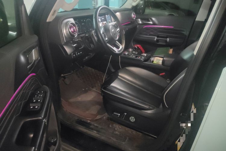 Used Tank 300 2021 Off-Road Edition 2.0T Conqueror Driver Seat
