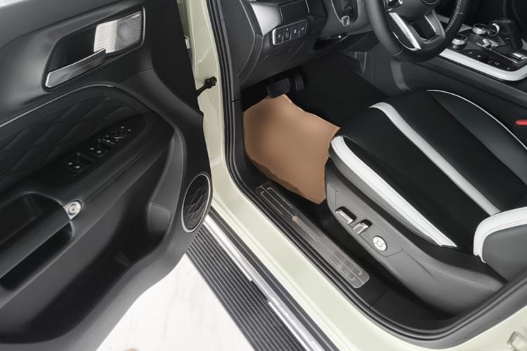 Used Tank 300 2021 City Edition 2.0T—Truly Stylish Driver Seat