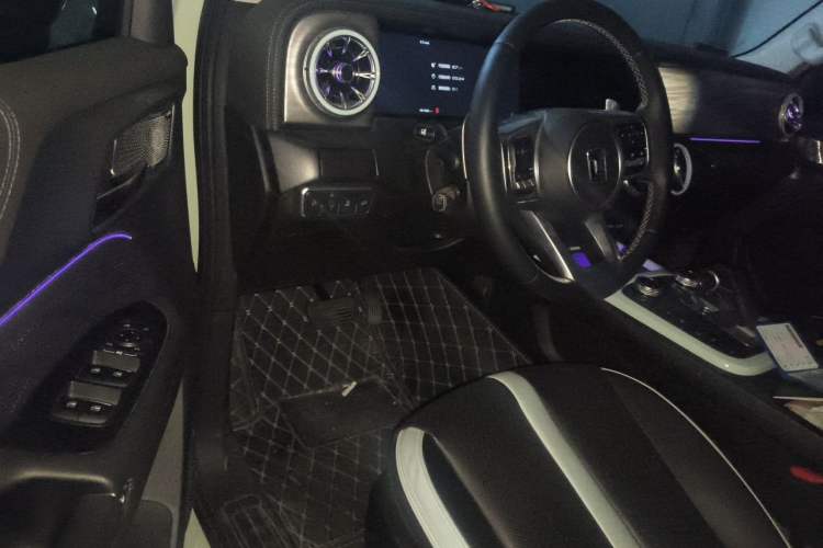 Used Tank 300 2021 City Edition 2.0T—Truly Stylish Driver Seat