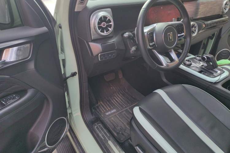 Used Tank 300 2021 City Edition 2.0T—Truly Stylish Driver Seat