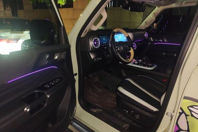 Used Tank 300 2021 City Edition 2.0T—Truly Stylish Driver Seat