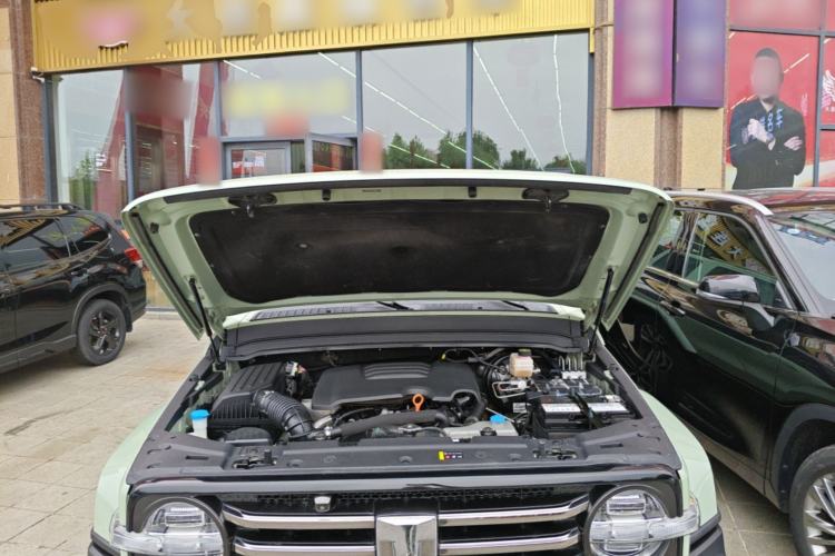 Used Tank 300 2021 City Edition 2.0T—Truly Stylish Engine Bay