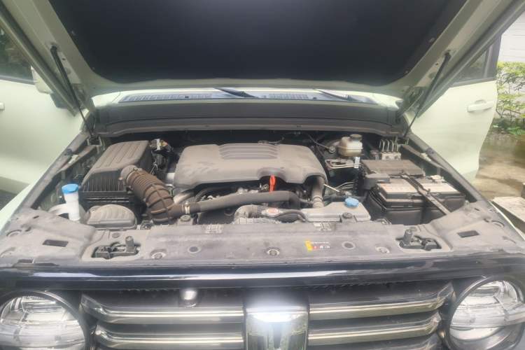 Used Tank 300 2021 City Edition 2.0T—Truly Stylish Engine Bay