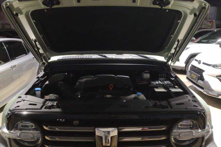 Used Tank 300 2021 City Edition 2.0T—Truly Stylish Engine Bay