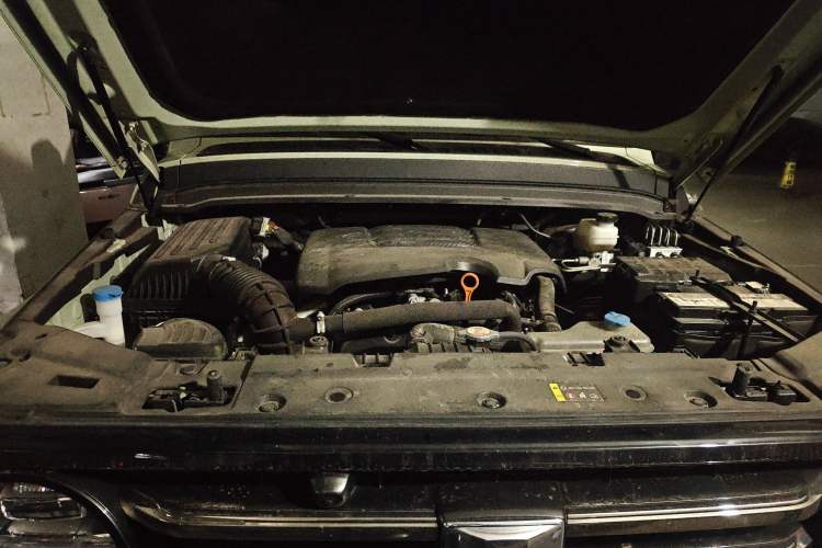 Used Tank 300 2021 City Edition 2.0T—Truly Stylish Engine Bay