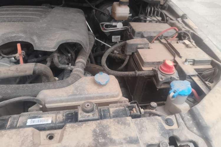 Used Tank 300 2021 2.0T Wind & Forest Iron Rider Engine Bay Left