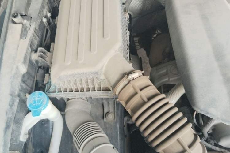 Used Tank 300 2021 Off-Road Edition 2.0T Conqueror Engine Bay Right