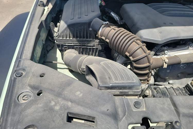 Used Tank 300 2021 2.0T Wind & Forest Iron Rider Engine Bay Right