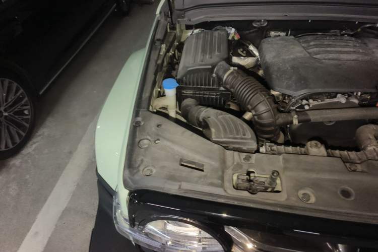 Used Tank 300 2021 City Edition 2.0T—Truly Stylish Engine Bay Right