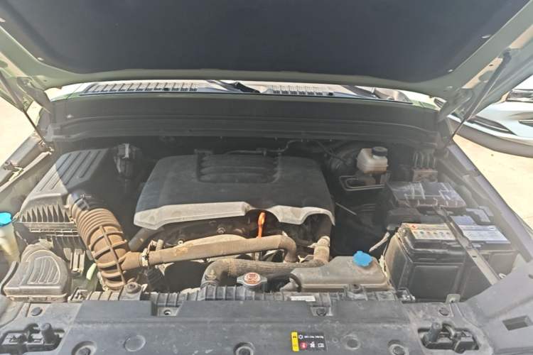 Used Tank 300 2021 City Edition 2.0T—Truly Stylish Engine Bay