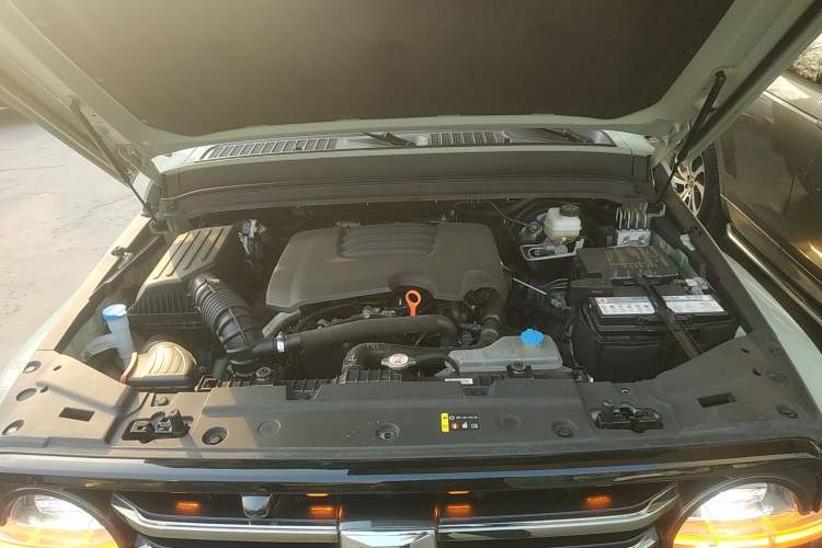 Used Tank 300 2021 City Edition 2.0T—Truly Stylish Engine Bay