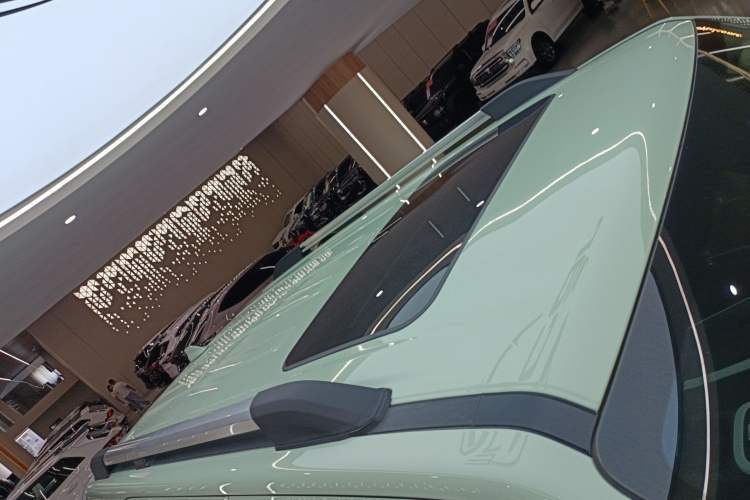 Used Tank 300 2021 City Edition 2.0T—Truly Stylish Exterior 6