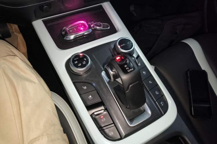 Used Tank 300 2021 City Edition 2.0T—Truly Stylish Gear Lever
