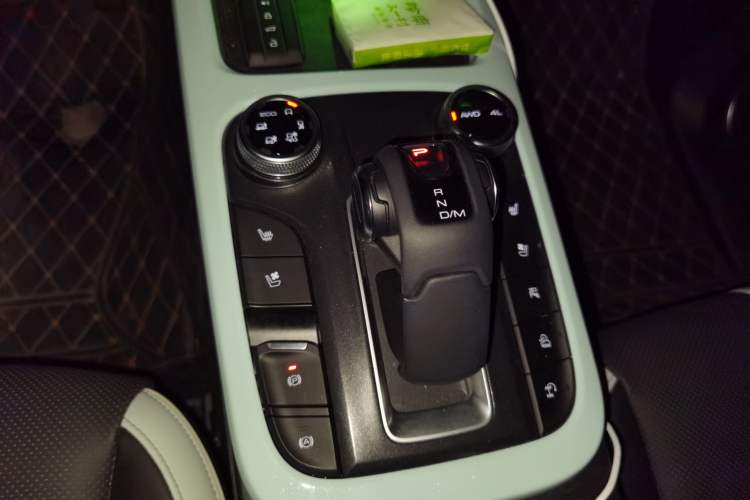 Used Tank 300 2021 City Edition 2.0T—Truly Stylish Gear Lever