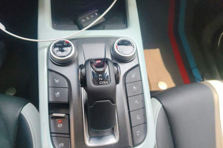 Used Tank 300 2021 City Edition 2.0T—Truly Stylish Gear Lever