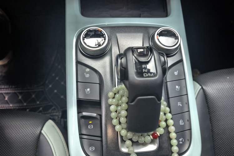 Used Tank 300 2021 City Edition 2.0T—Truly Stylish Gear Lever