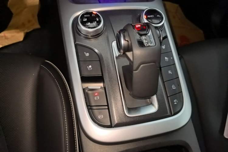 Used Tank 300 2021 City Edition 2.0T—Truly Stylish Gear Lever