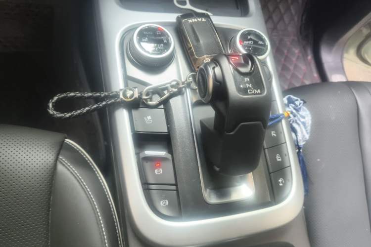 Used Tank 300 2021 City Edition 2.0T—Truly Stylish Gear Lever