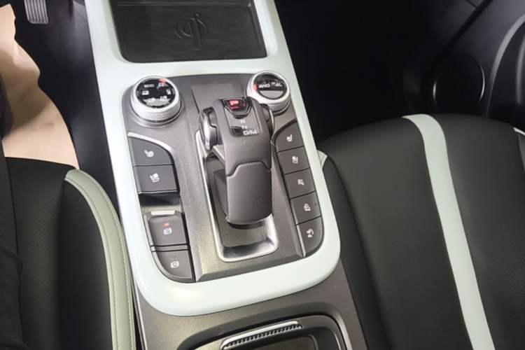 Used Tank 300 2021 City Edition 2.0T—Truly Stylish Gear Lever