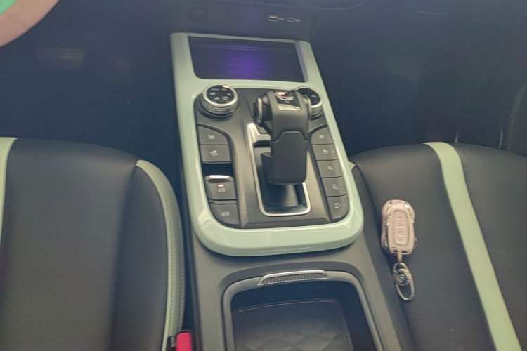 Used Tank 300 2021 City Edition 2.0T—Truly Stylish Gear Lever