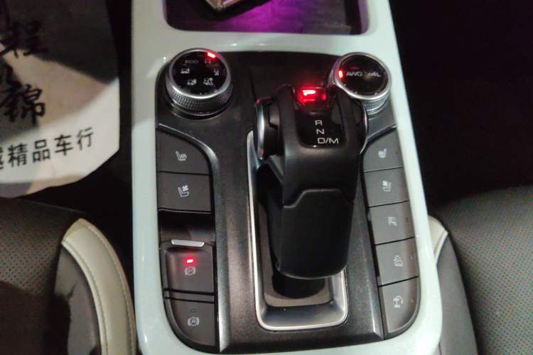 Used Tank 300 2021 City Edition 2.0T—Truly Stylish Gear Lever