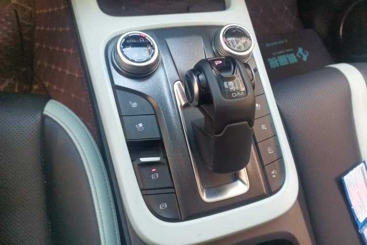 Used Tank 300 2021 City Edition 2.0T—Truly Stylish Gear Lever