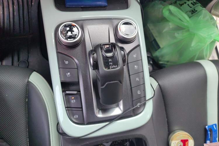 Used Tank 300 2021 City Edition 2.0T—Truly Stylish Gear Lever