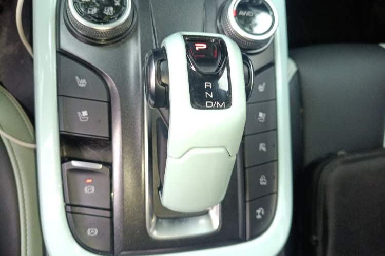 Used Tank 300 2021 City Edition 2.0T—Truly Stylish Gear Lever