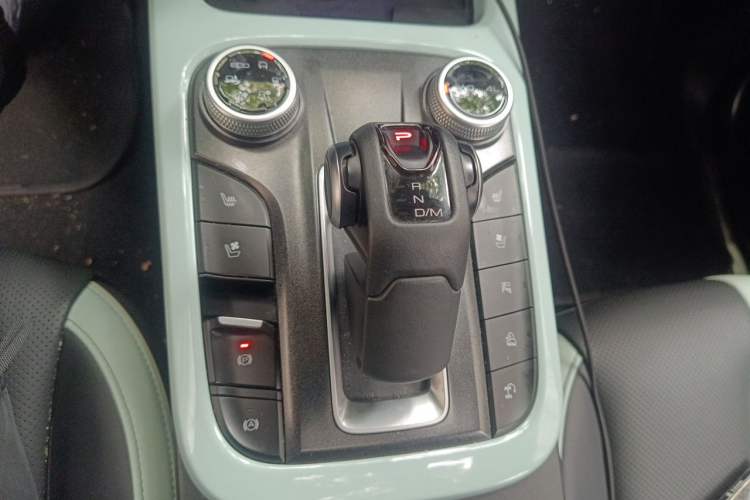 Used Tank 300 2021 City Edition 2.0T—Truly Stylish Gear Lever