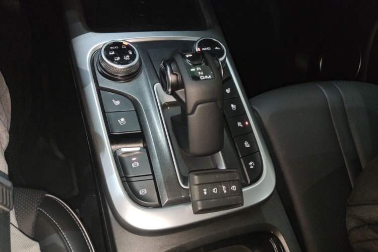Used Tank 300 2021 City Edition 2.0T—Truly Stylish Gear Lever